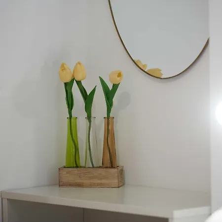 Boris Apartman Trogir
